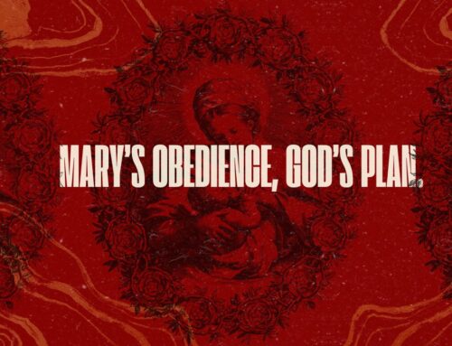 Mary’s Obedience, God’s Plan.