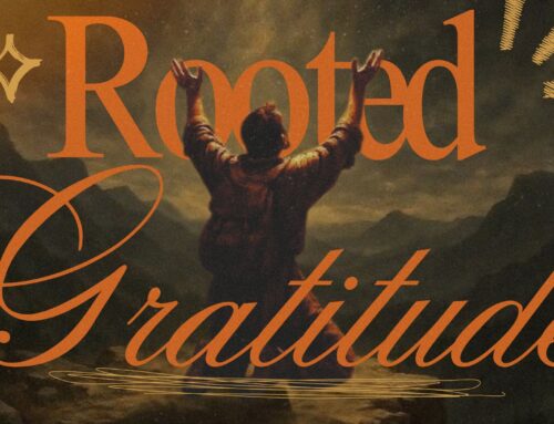 Rooted Gratitude: Gratitude That Goes Beyond Counting Blessings
