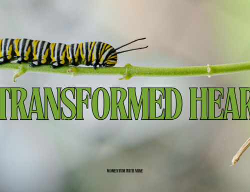 A Transformed Heart
