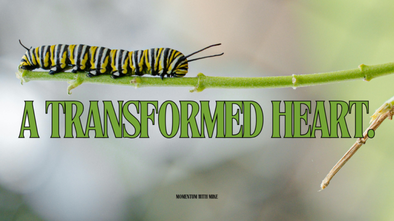 A Transformed Heart
